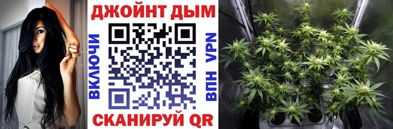 Конопля гибрид Купить где Абакан